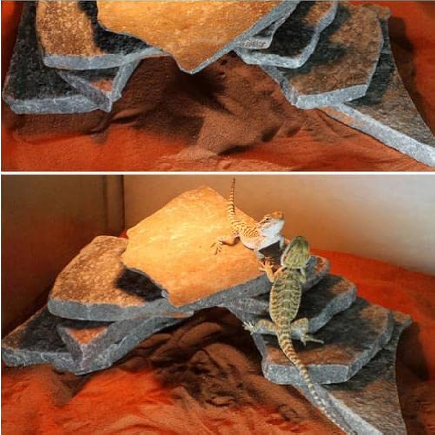 お*い様 爬虫類用品② ニシマツカサトカゲ入荷！！ 期間限定の大特価にて販売！ LINE